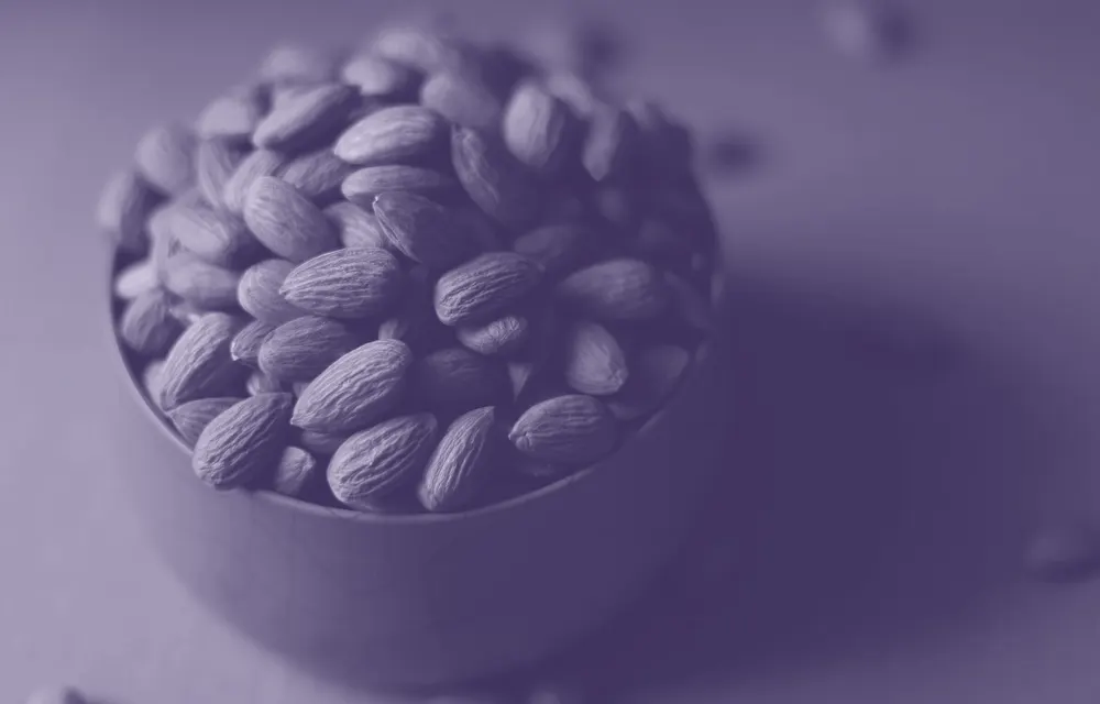 Amandes : quels bienfaits pour la santé, et en quelle quantité ?