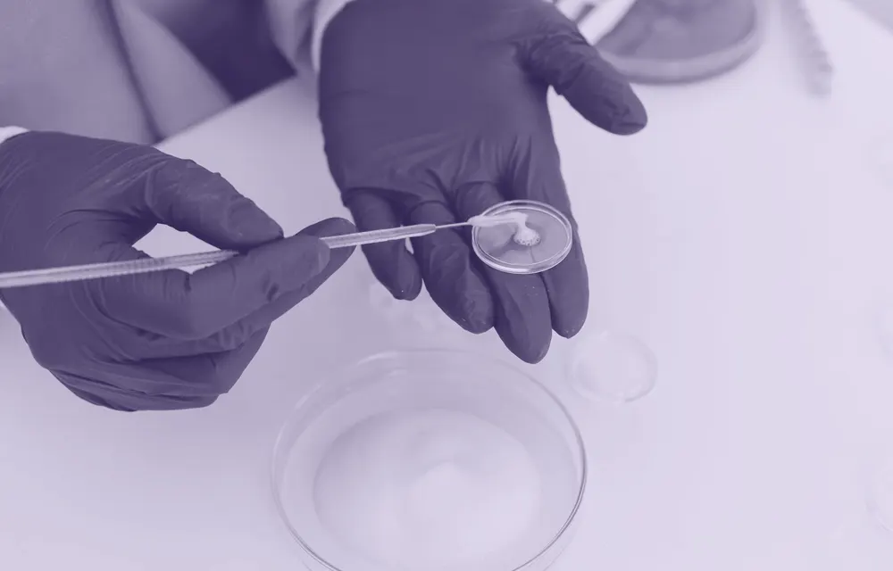 Staphylocoque doré : symptômes, transmission et traitements